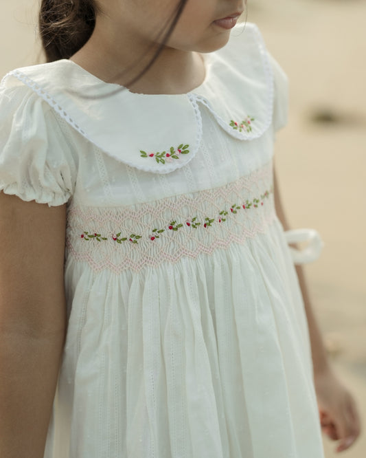 Coastal Christmas frock