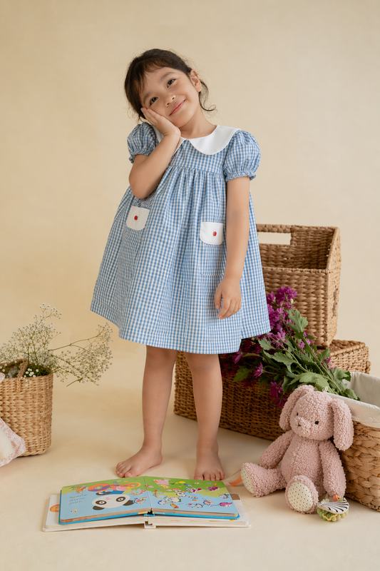 NIA GINGHAM FROCK